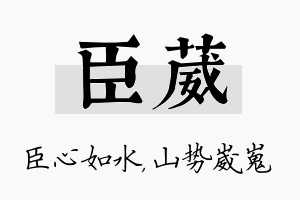 臣葳名字的寓意及含义