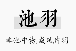 池羽名字的寓意及含义