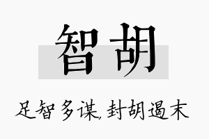 智胡名字的寓意及含义