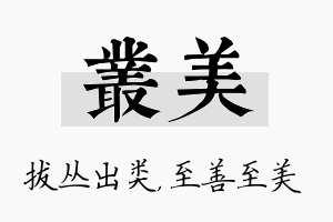 丛美名字的寓意及含义