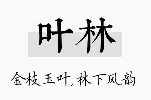 叶林名字的寓意及含义