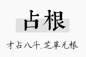 占根名字的寓意及含义