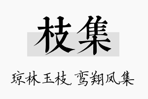 枝集名字的寓意及含义