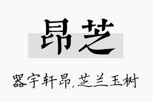 昂芝名字的寓意及含义