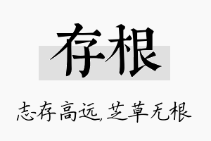 存根名字的寓意及含义