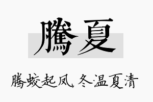 腾夏名字的寓意及含义