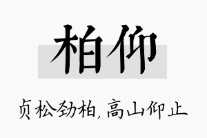 柏仰名字的寓意及含义