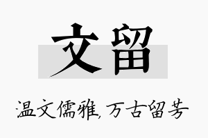 文留名字的寓意及含义