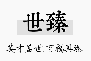 世臻名字的寓意及含义