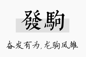 发驹名字的寓意及含义