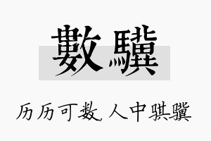 数骥名字的寓意及含义