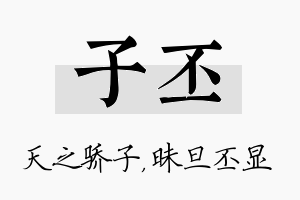 子丕名字的寓意及含义