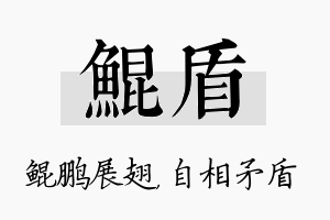 鲲盾名字的寓意及含义