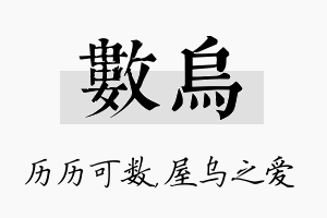 数乌名字的寓意及含义