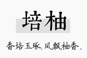 培柚名字的寓意及含义