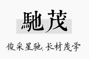 驰茂名字的寓意及含义