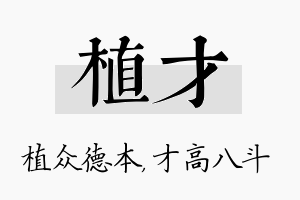 植才名字的寓意及含义