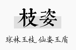 枝姿名字的寓意及含义