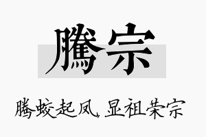 腾宗名字的寓意及含义