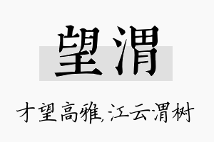 望渭名字的寓意及含义