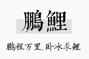 鹏鲤名字的寓意及含义