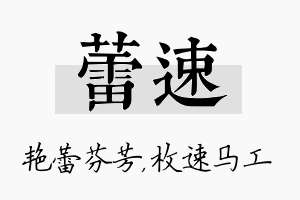 蕾速名字的寓意及含义