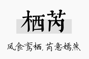 栖芮名字的寓意及含义