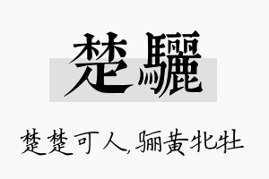 楚骊名字的寓意及含义