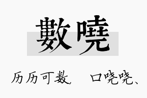 数哓名字的寓意及含义