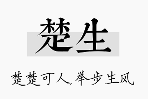 楚生名字的寓意及含义