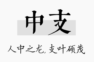 中支名字的寓意及含义