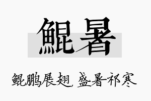 鲲暑名字的寓意及含义