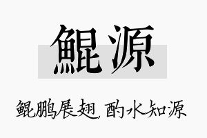 鲲源名字的寓意及含义