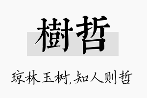 树哲名字的寓意及含义