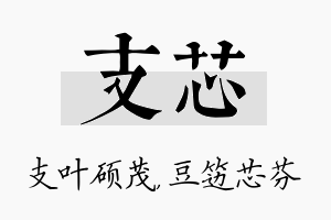 支芯名字的寓意及含义