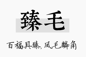 臻毛名字的寓意及含义