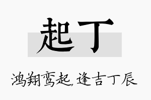 起丁名字的寓意及含义