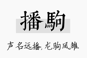 播驹名字的寓意及含义