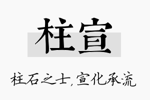 柱宣名字的寓意及含义