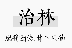 治林名字的寓意及含义