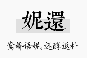 妮还名字的寓意及含义