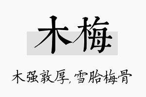 木梅名字的寓意及含义