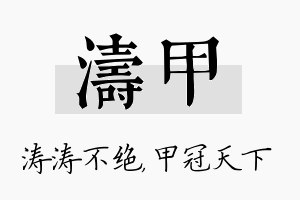 涛甲名字的寓意及含义