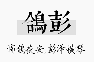 鸽彭名字的寓意及含义