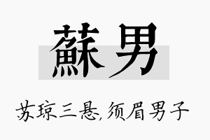 苏男名字的寓意及含义