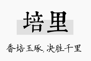 培里名字的寓意及含义