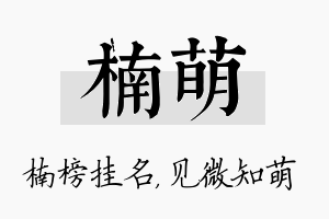 楠萌名字的寓意及含义