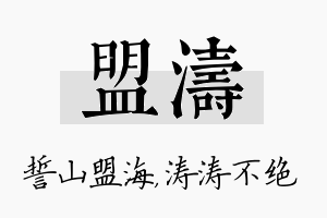 盟涛名字的寓意及含义