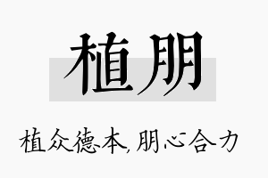 植朋名字的寓意及含义