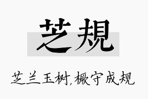 芝规名字的寓意及含义